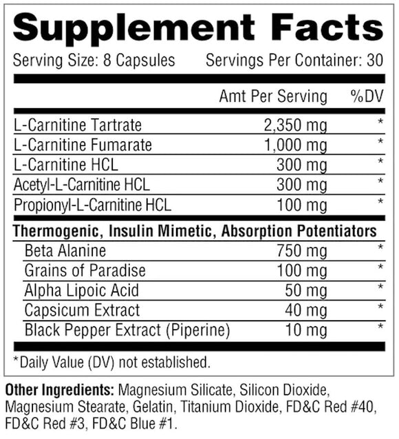 Metabolic Nutrition Carni-10 Fat Burner 240 Capsules|Fat Burner|Mass For Life|
