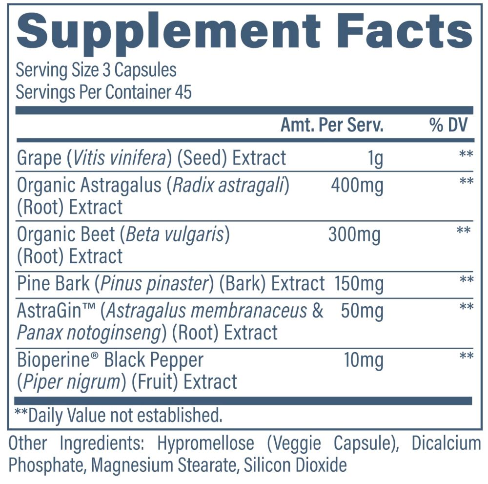 Revive Kidney Supports Healthy Kidney Functions VCapsules|Mass For Life