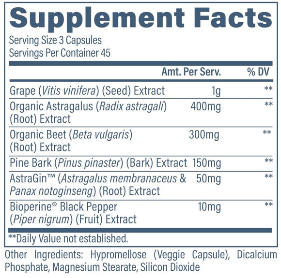 Revive Kidney Supports Healthy Kidney Functions VCapsules|Wellness|Mass For Life|