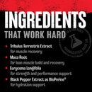 Universal Nutrition Animal Stak 21 paks|Test Booster|Mass For Life|