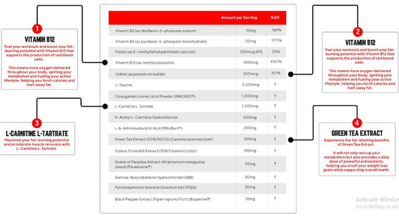 Enhanced Labs All Day Shred Fat Burner Pre-Workout 30 Servings|Pre-Workout|Mass For Life|