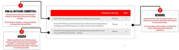 Enhanced Labs Ashwagandha Athletes Performance 30 Capsules|Stress Aid|Mass For Life|