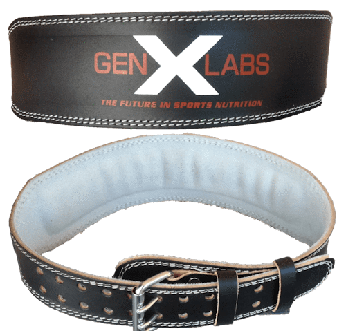 FREE GenXLabs Padded Weight Lifting Belt 4" (code) Free Belt|Belt|Mass For Life|