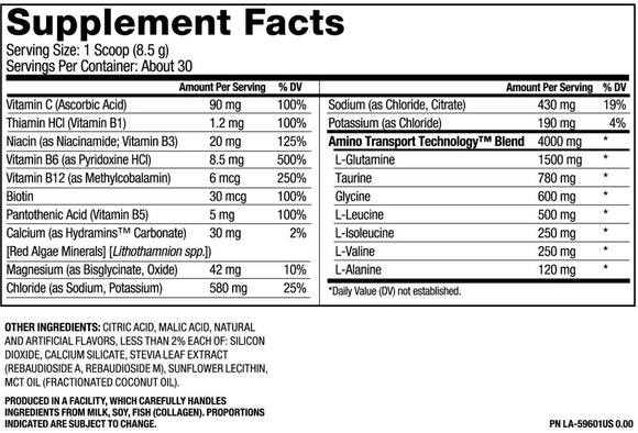 Pure Vita Labs PROH2O, sugar-free, zero-calorie, carb-free electrolyte drink mix|Pre Workout|Mass For Life|