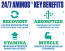 MyoBlox 24/7 Aminos 30 servings|Amino Acids|Mass For Life|