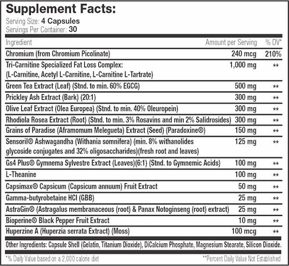 SNS Serious Nutrition Solutions Lean Edge 120 Capsules|Fat Burner|Mass For Life|