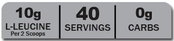 ANSI BCAA 12400 40 servings|BCAAs|Mass For Life|