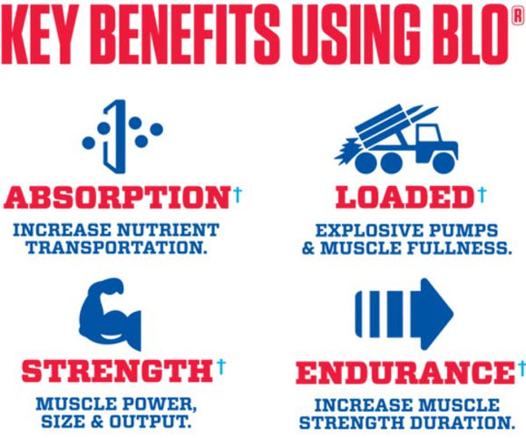 MyoBlox Blo Pre Workout|Pre-Workout|Mass For Life|
