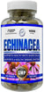 Hi-Tech Echinacea