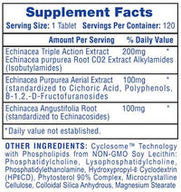 Echinacea Hi-Tech fact