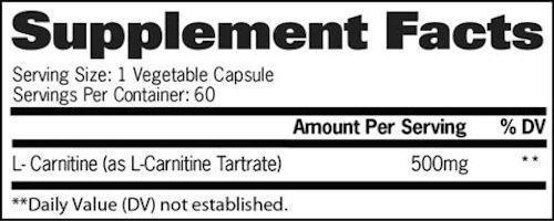 GAT Sport L-Carnitine 60 caps|Carnitine|Mass For Life|