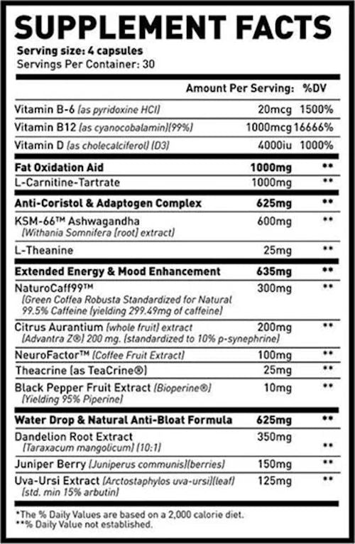 Man Sports Lean Ph.D 120 capsules|Carnitine|Mass For Life|