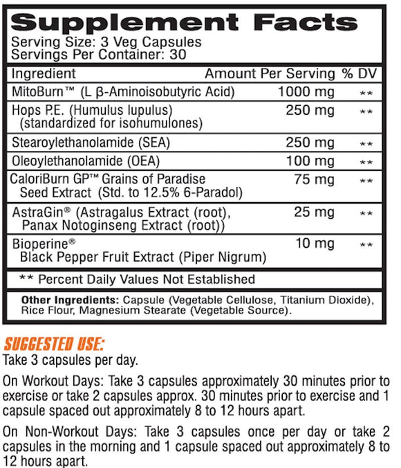 Competitive Edge Labs LipoVantage Non Stim Fat Burner 90 Caps|Fat Burner|Mass For Life|