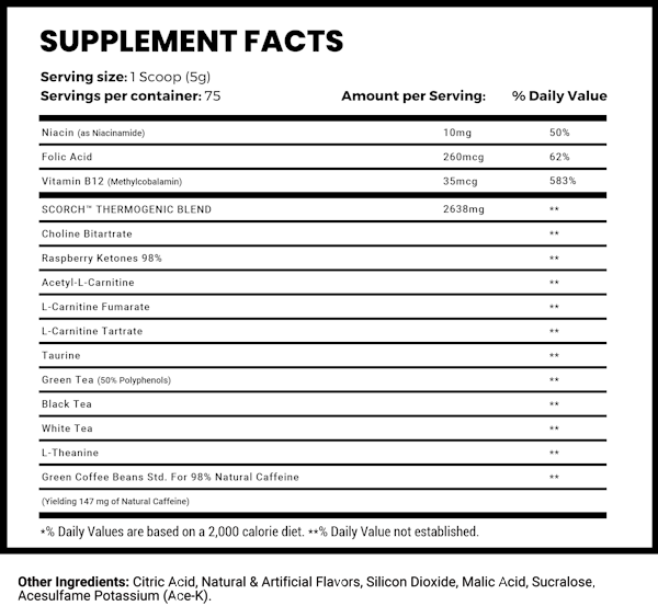 Man Sports Scorch 75 servings